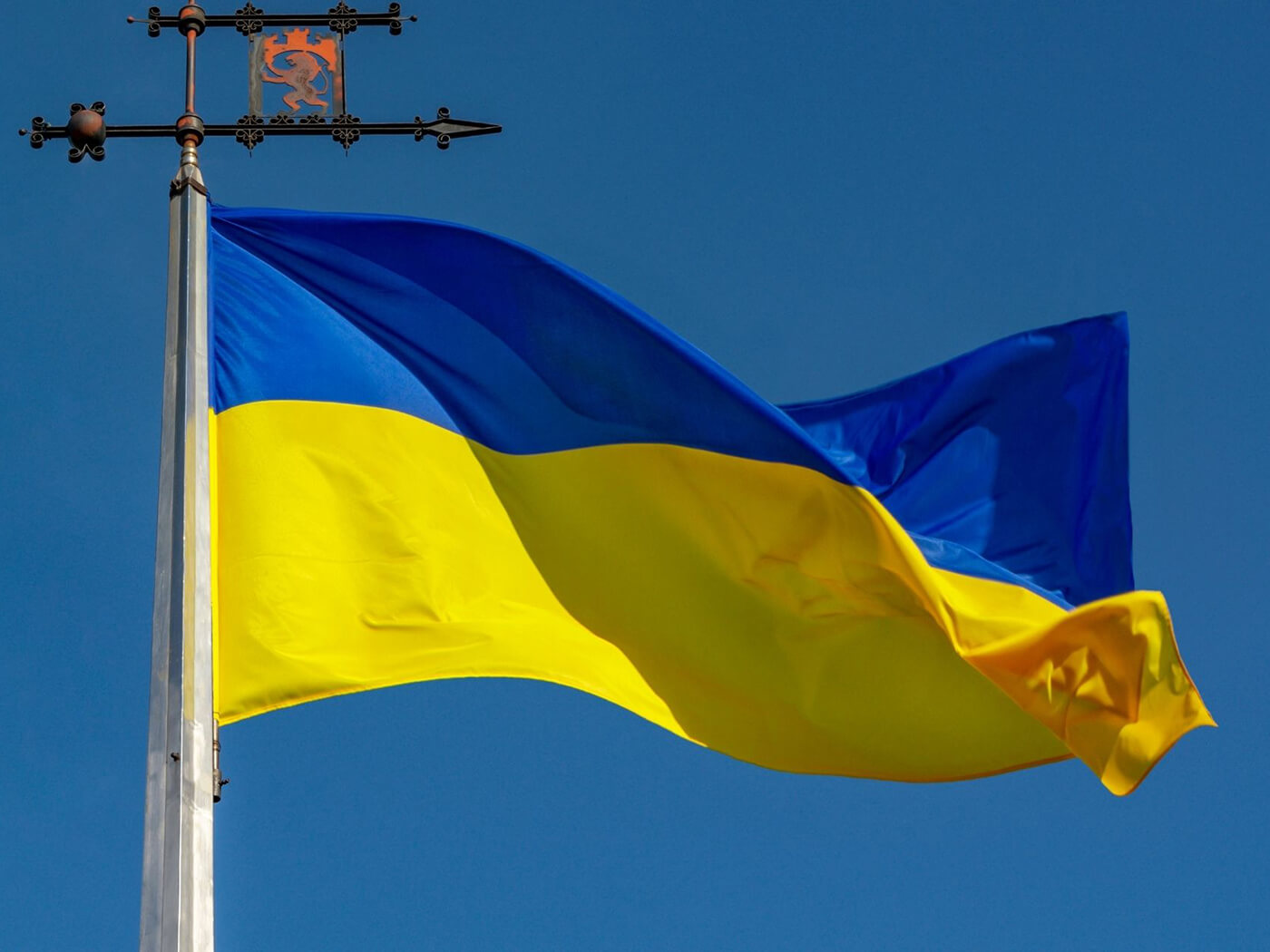 Ukraine flag